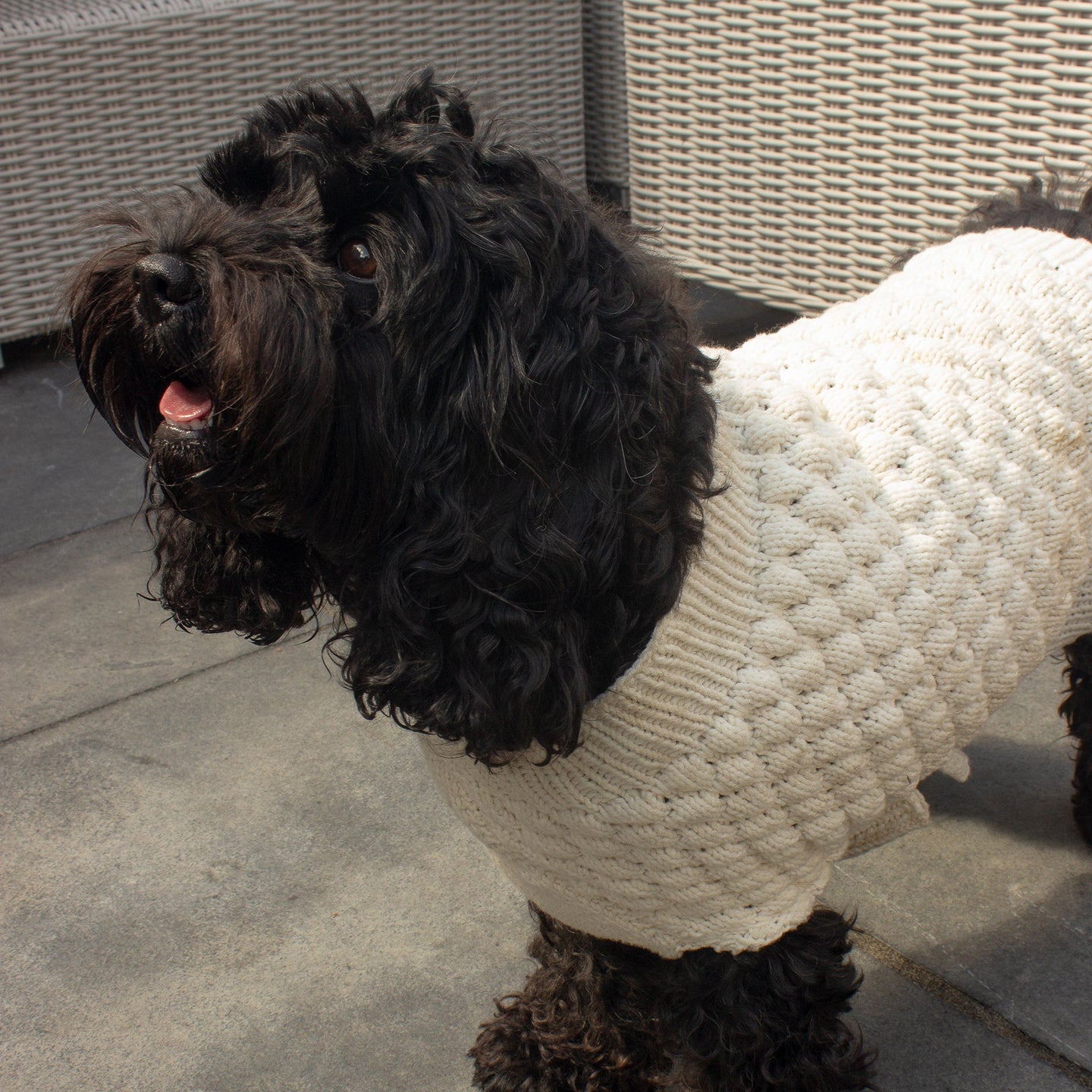 Knitted Bubble Pet Sweater Downloadable Pattern